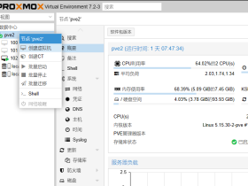 Proxmox VE也就是PVE安装黑群晖DSM7.1版 保姆教程