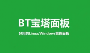 宝塔Linux面板最新自动磁盘挂载脚本，一键挂载数据盘到www目录，挂载工具省时又省心第1张-土狗李的博客,李强个人网站