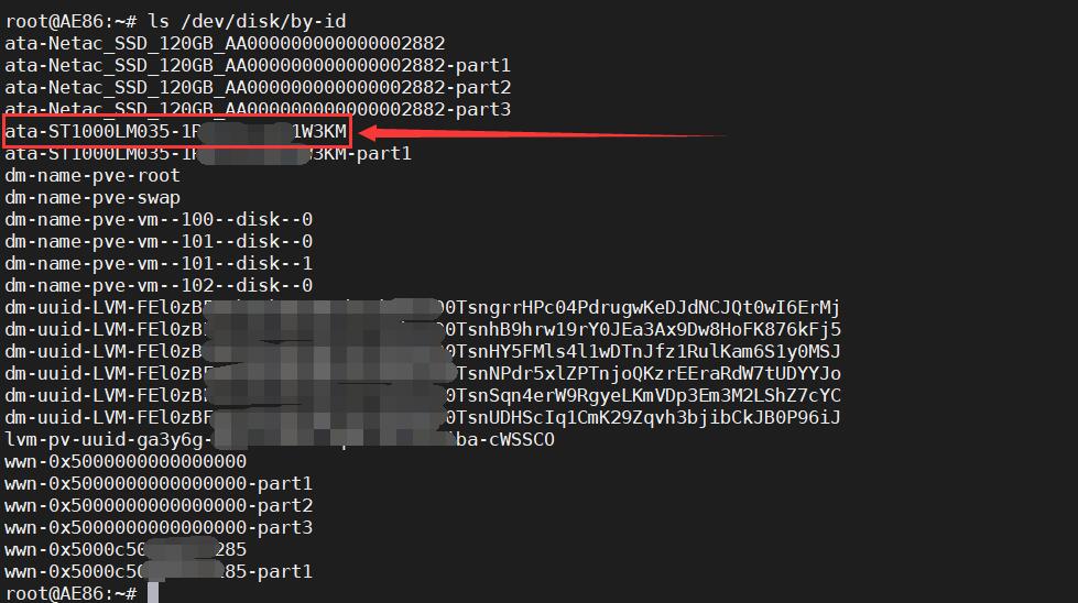 核显直通(intel) Proxmox VE 7.x 安装黑群晖7.x人脸识别(DS918+)教程+硬盘直通第12张-土狗李的博客,李强个人网站