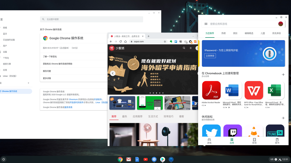 旧电脑装用Chrome浏览器插件Chrome OS Flex 安装Chrome OS安装方法和使用与体验 操作系统 第24张